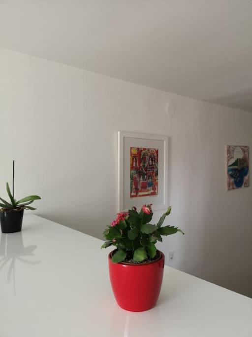 Studio Apartment Ivana - New Sweet Apartment Dubrovnik Exteriör bild